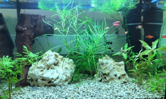 Аквариум под ключ