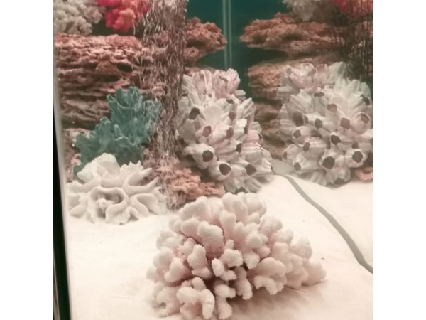 Запуск аквариума