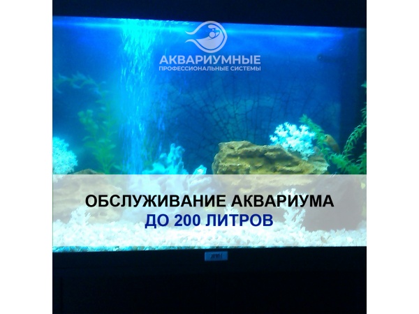 Обслуживание пресноводного аквариума до 200 литров